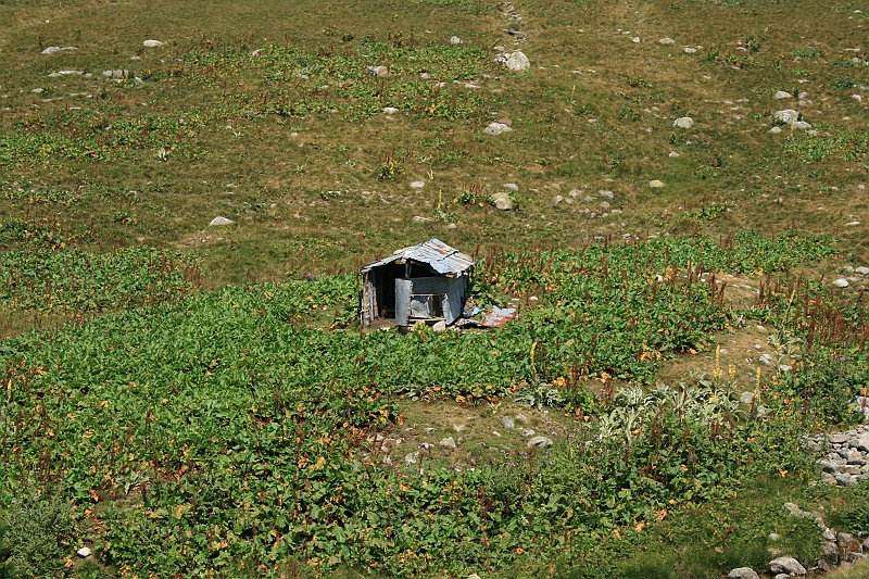 Bulgaria 2008 392